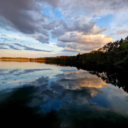 Vidok Golden Olštýn